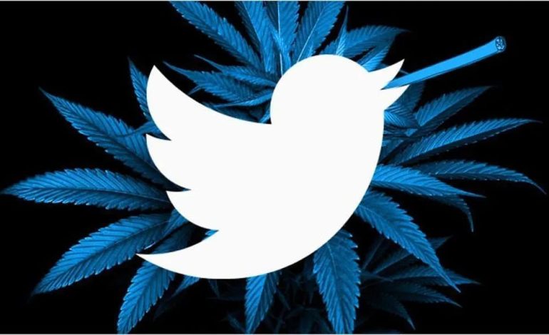  Twitter, premier réseau social à autoriser la publicité sur le cannabis